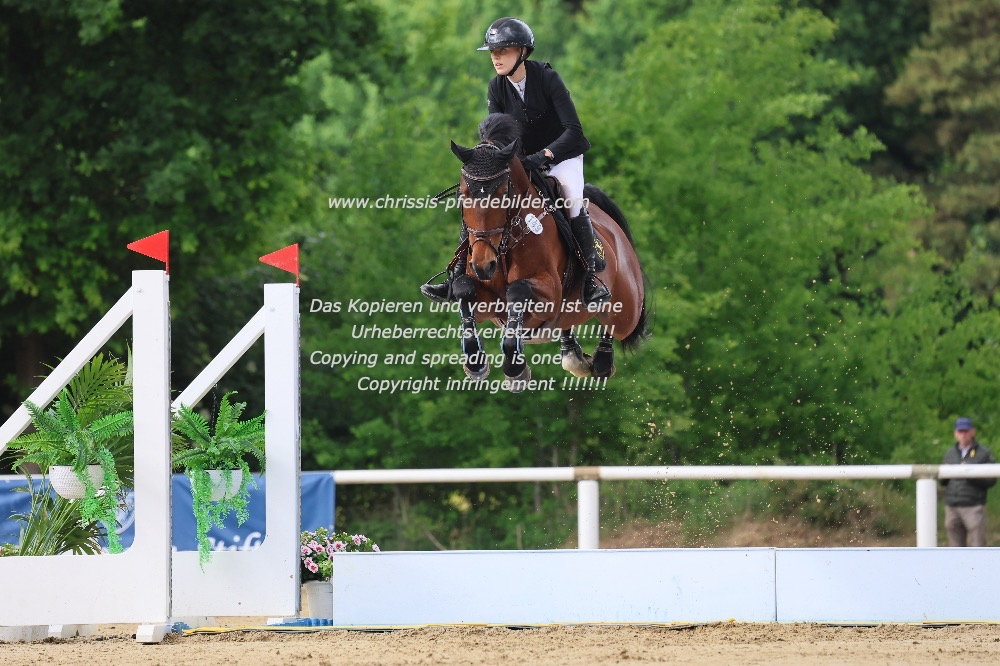 Preview laura hertz eichenrode mit lord louis s IMG_1876.jpg